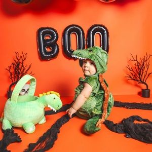 Baby Dinosaur Costume